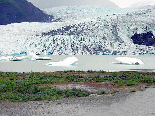 Mendenhall Glacier